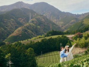 通常では入ることができない茶畑での記念撮影や絶景を臨むピクニックも