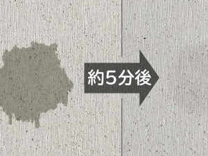 吸水＆速乾の「モイス（moiss）」は消臭機能もあるインテリア建材 [食楽web]