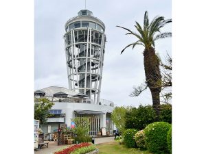 奥にそびえ立っているのが「江の島シーキャンドル」