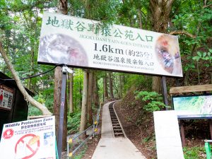 バス停「スノーモンキーパーク」から徒歩約10分で「地獄谷野猿公苑入口」に到着。車で行く場合は駐車場が2カ所あるが、そこからも20〜30分は歩く