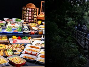 ほたるの飛翔状況により期間変更の場合や、天候や気温の状況により見られない場合あり