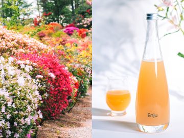 【福島グルメ】つつじ農園が“花酵母”で造る、華やかなカクテル「Enju」の魅力とは
