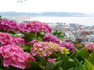 長谷寺の散策路からは相模湾の由比ヶ浜が臨めます