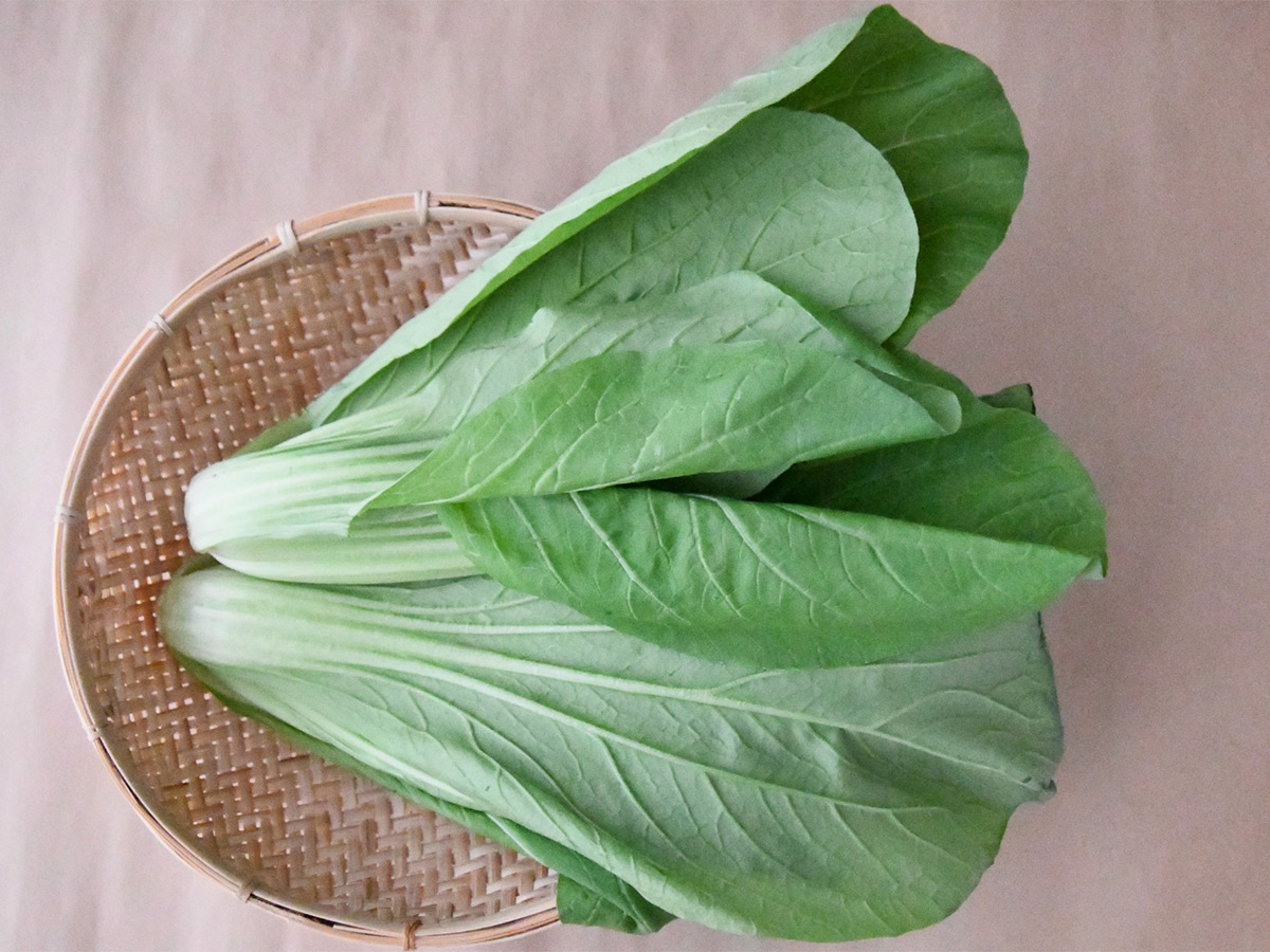 広島菜[食楽web]