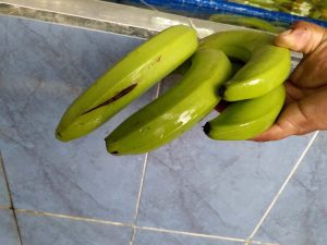 味に影響はないものの、表面に傷がついてしまったために、規格外品となった『田辺農園』のバナナ [食楽web]