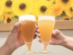 【岡山グルメ】クラフトビールが思う存分楽しめる！週末は「杜の街 ビアフェスタ2024」で最高の時間を過ごそう