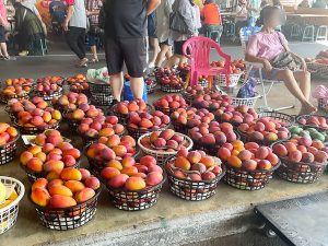 台湾屈指のマンゴーの名産地・玉井で絶品すぎる「マンゴーかき氷」を食べてきた