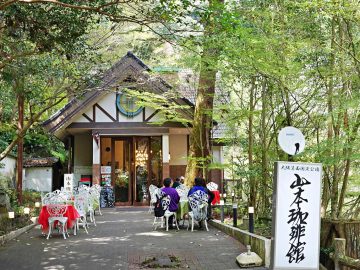 マイナスイオン溢れる森の中の老舗喫茶『山本珈琲館』はホテルでも愛されてきた味わい【大阪】