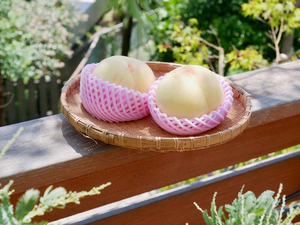 [食楽web]