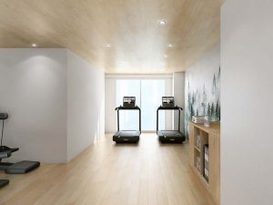 各種最新器具を取り揃え『ノボテル奈良』のフィットネスジム