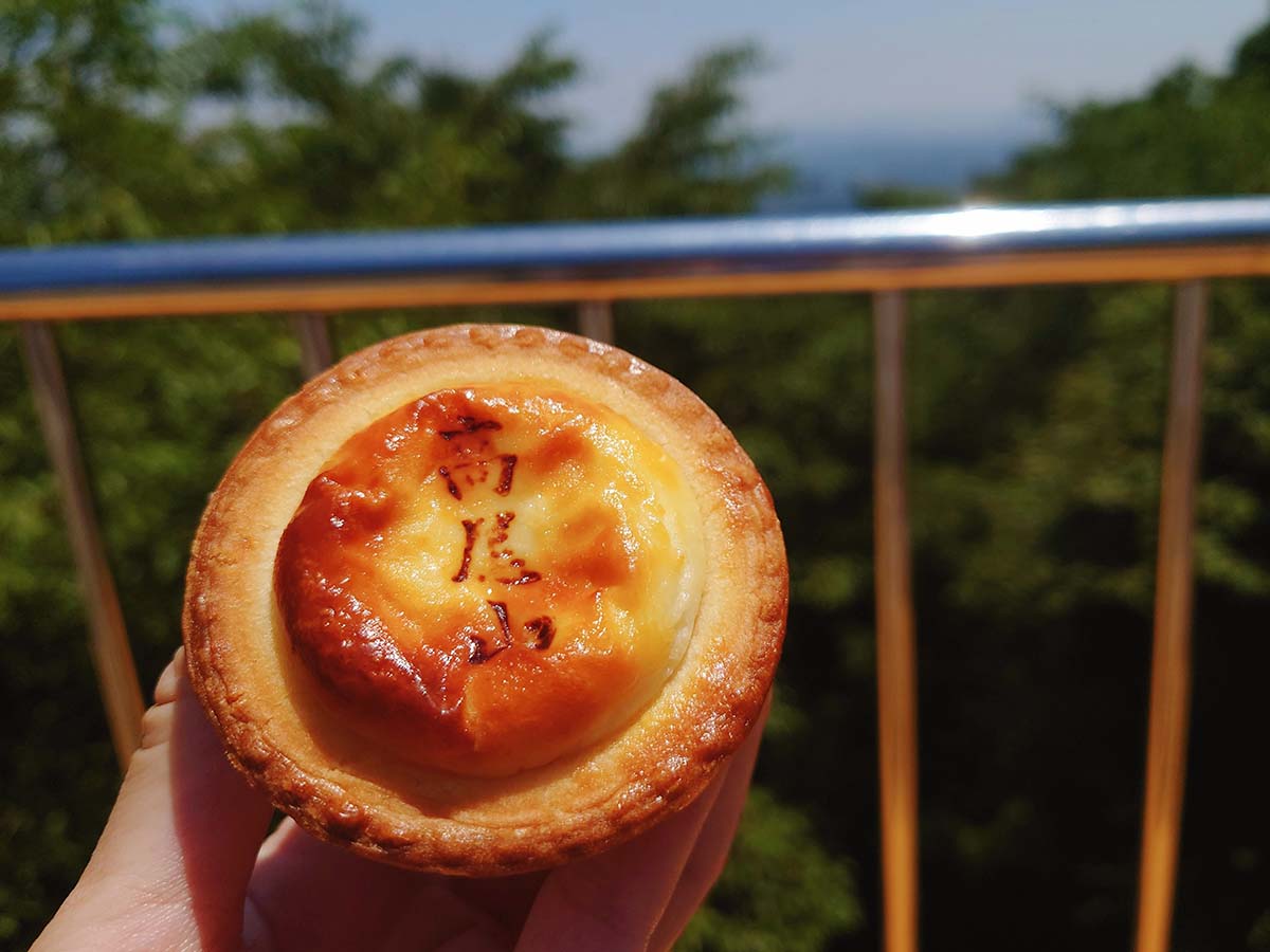 暑い季節は冷たい「冷やしチーズタルト」もあり