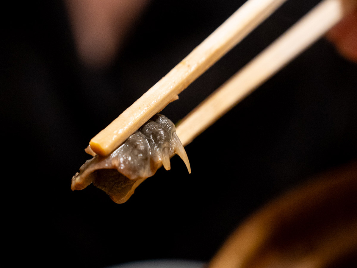 スッポンの手[食楽web]