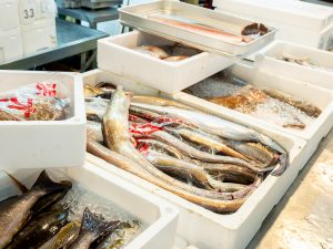 大阪の夏のご馳走、鱧（ハモ）が箱いっぱいに