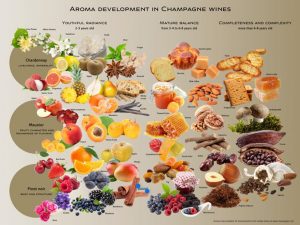 シャンパンが持つアロマは華やかさ、甘酸っぱさ、香ばしさなどさまざま [食楽web]