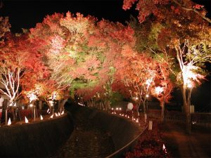 ［食楽web］
