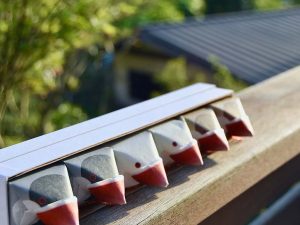 我が家のベランダに旅してきた「金澤文鳥」。ここでもおいしいもの、見つけたかな？ 左から「加賀紅茶味」、「白い珈琲味」、「加賀棒茶味」各2個ずつ