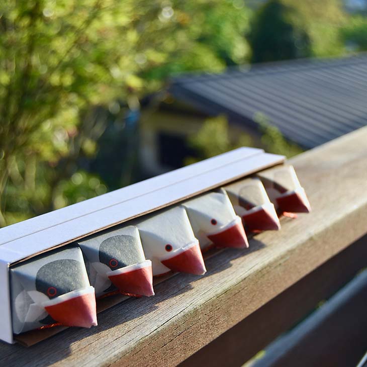 我が家のベランダに旅してきた「金澤文鳥」。ここでもおいしいもの、見つけたかな? 左から「加賀紅茶味」、「白い珈琲味」、「加賀棒茶味」各2個ずつ