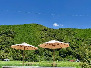 カフェの前にも茶畑テラスを楽しめるスポットがあるので、ぜひお天気がいい日に訪れてみて