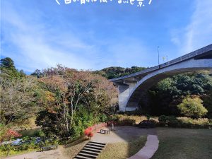 道の駅 伊豆月ケ瀬。小さな道の駅ながら、施設は明るく綺麗で新しめ
