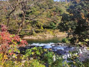 テラス席から望める狩野川