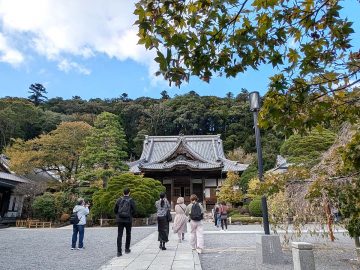 温泉とグルメ、パワースポット。“推しロス旅”で訪れた修善寺は大人の理想郷【2日目】