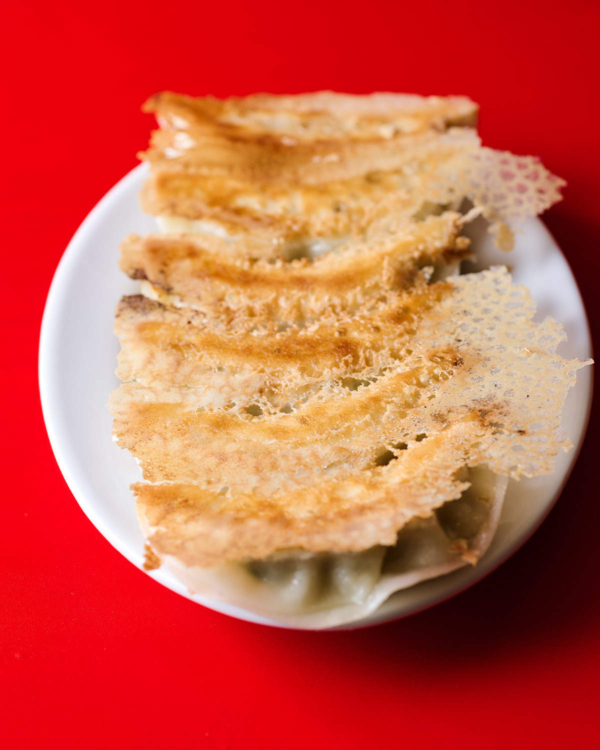 大ぶりな「焼餃子」は野菜たっぷりのあっさり系。開業時は珍しかった羽根付きタイプ［食楽web］