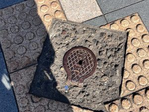 狙ってか狙ってないのか不明ですが、ホタテ貝そっくり
