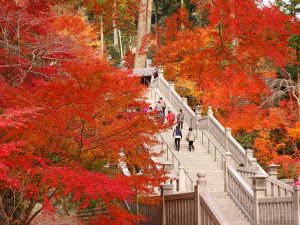 法多山 尊永寺。提供：法多山 尊永寺
