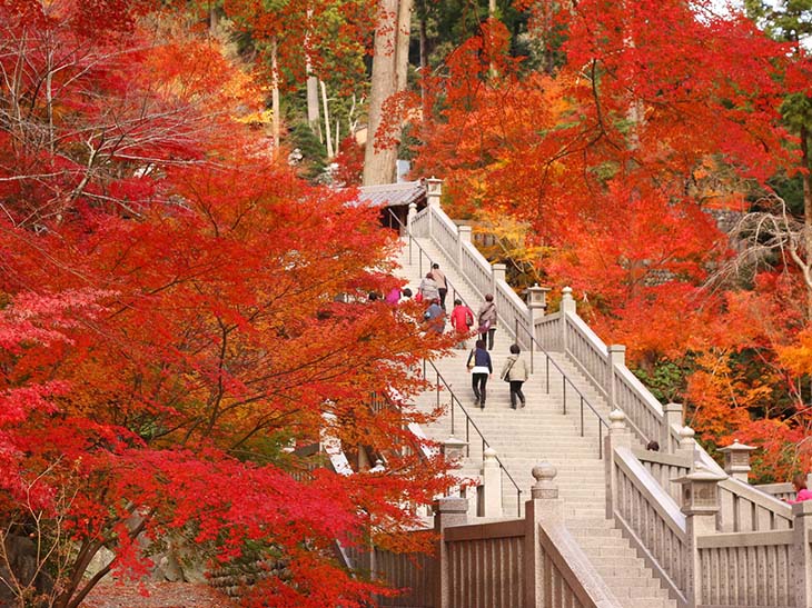 法多山 尊永寺。提供:法多山 尊永寺