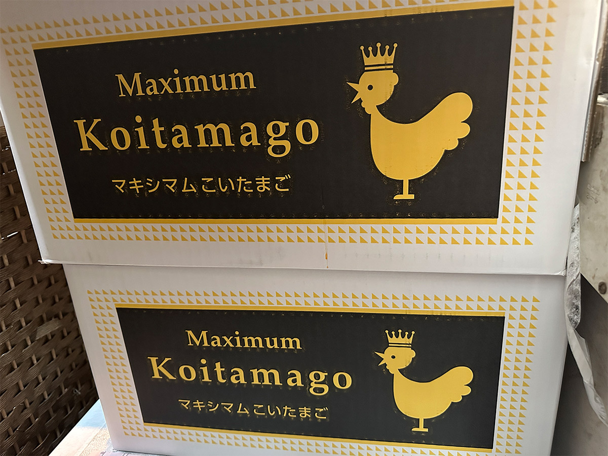 親子丼には、高級卵「マキシマムこいたまご」を使用［食楽web］