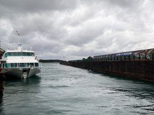 高速船トッピーで無事に種子島に到着。復路が時化（しけ）のためにかなり揺れ、前席に頭をぶつけて軽い怪我をする乗客がいたほど