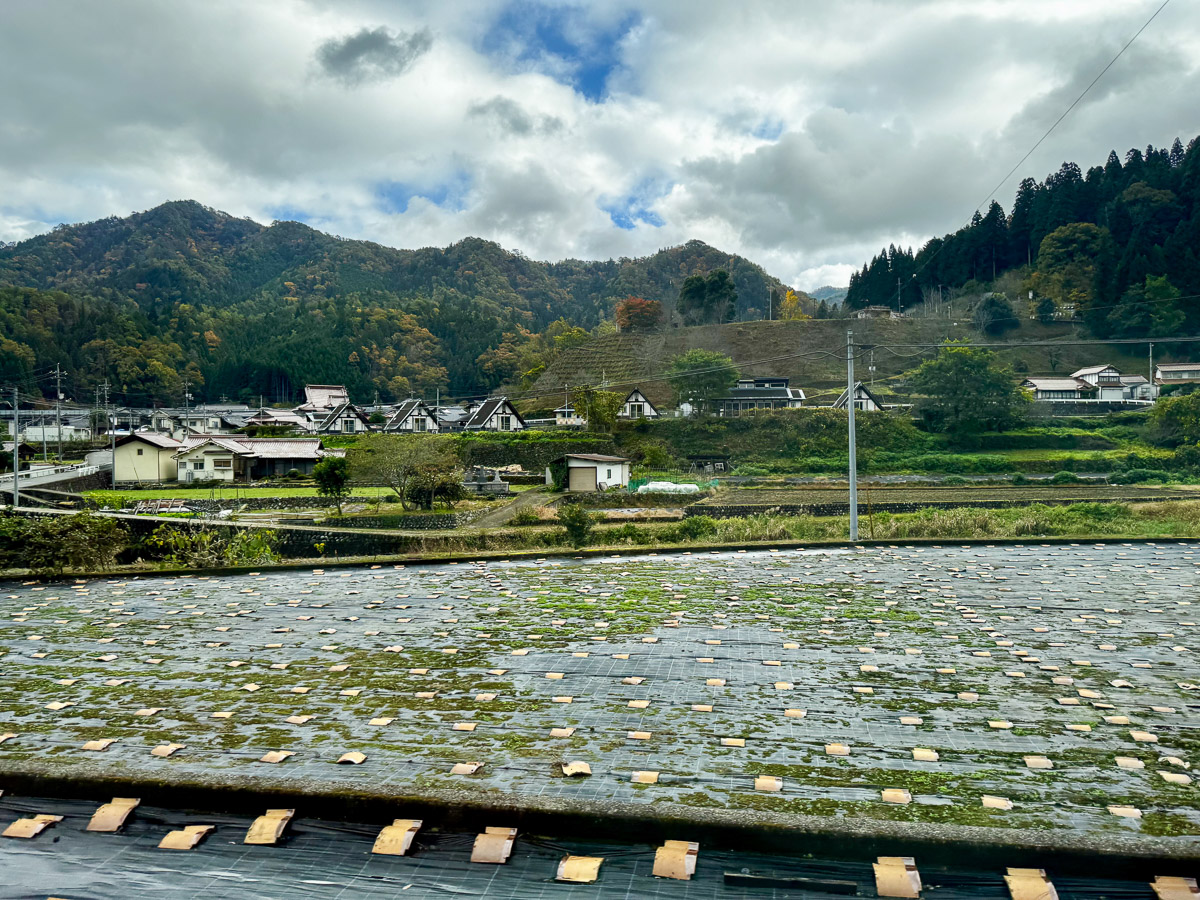 山間ののどかな田園地帯に暖簾をかかげるお好み焼き店『星の郷 あまんど』。好天時の夜には美しい星空が望める