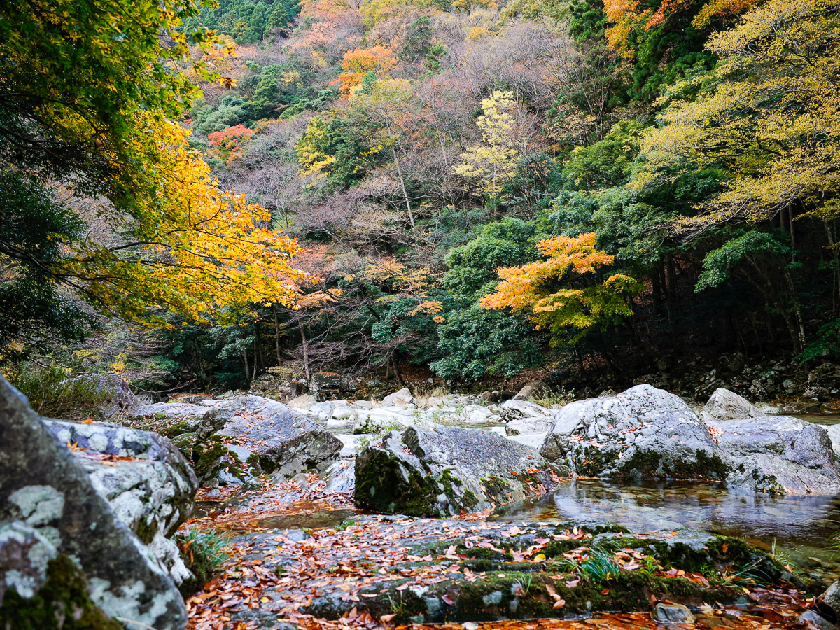 紅葉の見頃は10月後半から11月。見事な渓谷美が楽しめる