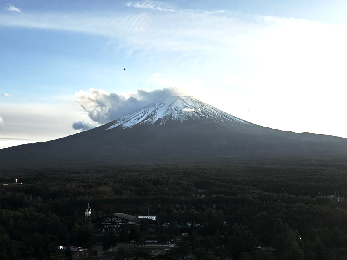 皆さま、良いお年を!