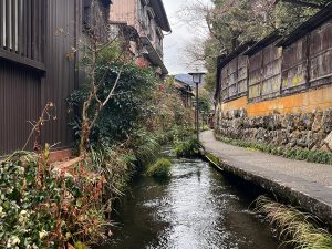 “いがわ小径”と呼ばれる、用水路沿いの風情ある脇道