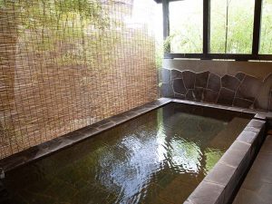 食後は1リットルあたりメタケイ酸が100mg以上含まれる「美人の湯」へ