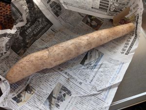 北海道の実家では切る前の長芋は新聞紙に包んで玄関で保管。切った後は、新聞紙に包んで冷蔵庫の野菜室へ