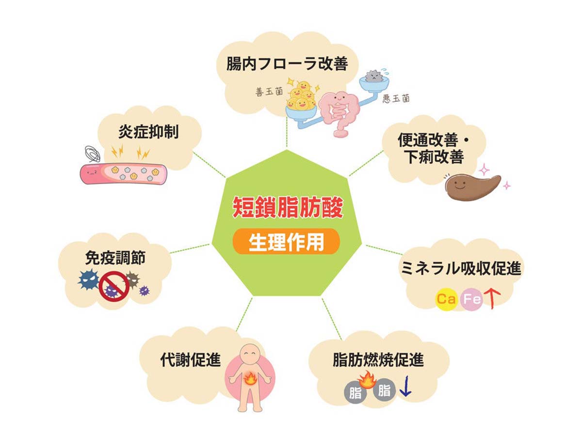 最近話題の「短鎖脂肪酸」は腸内環境を整えるために有効な成分