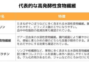 代表的な高発酵性食物繊維「グアー豆食物繊維」「イヌリン」「水溶性ペクチン」　［食楽web］