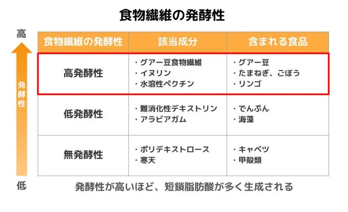 発酵性が高い成分が入った食品を摂取してホルモンバランスを整えよう