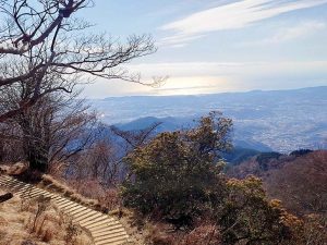 見晴台経由コースの下山タイムは、約1時間40分