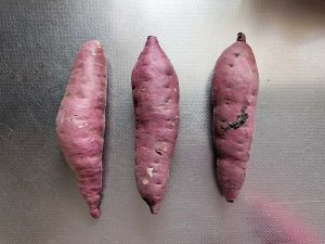 ステンレスのキッチンに並べた3本のさつまいも