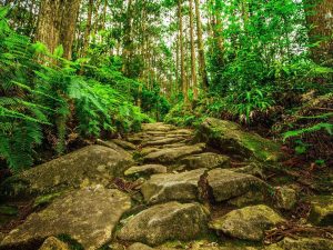 熊野古道