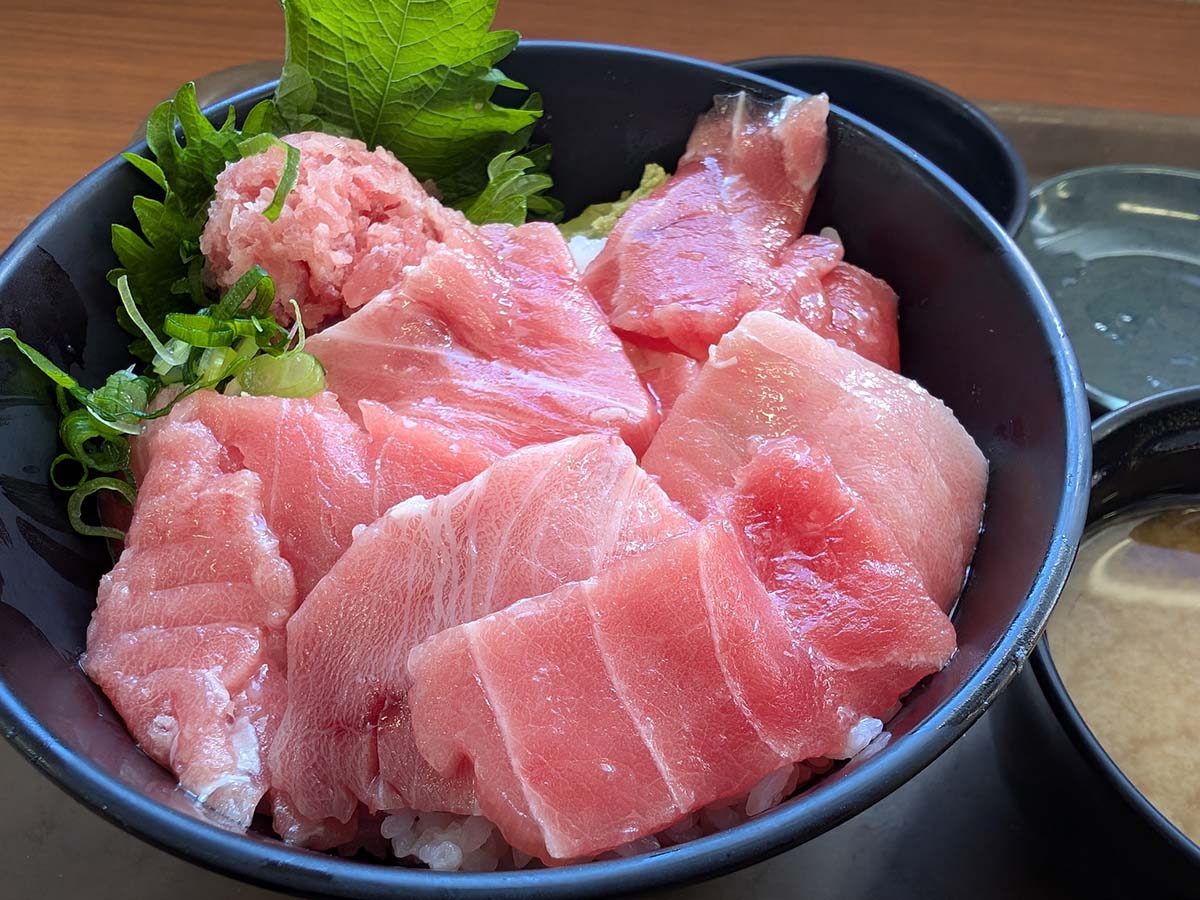 本鮪中トロ丼