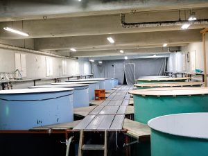 お酒の元となる「醪（もろみ）」を発酵させるタンク。酒造りの時期には濱村さん自ら櫂入れを行っている
