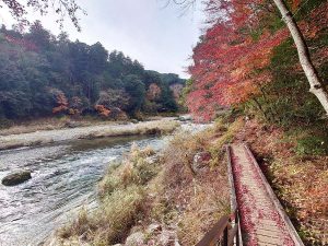 道は整備されていて、景色を堪能しながら歩ける