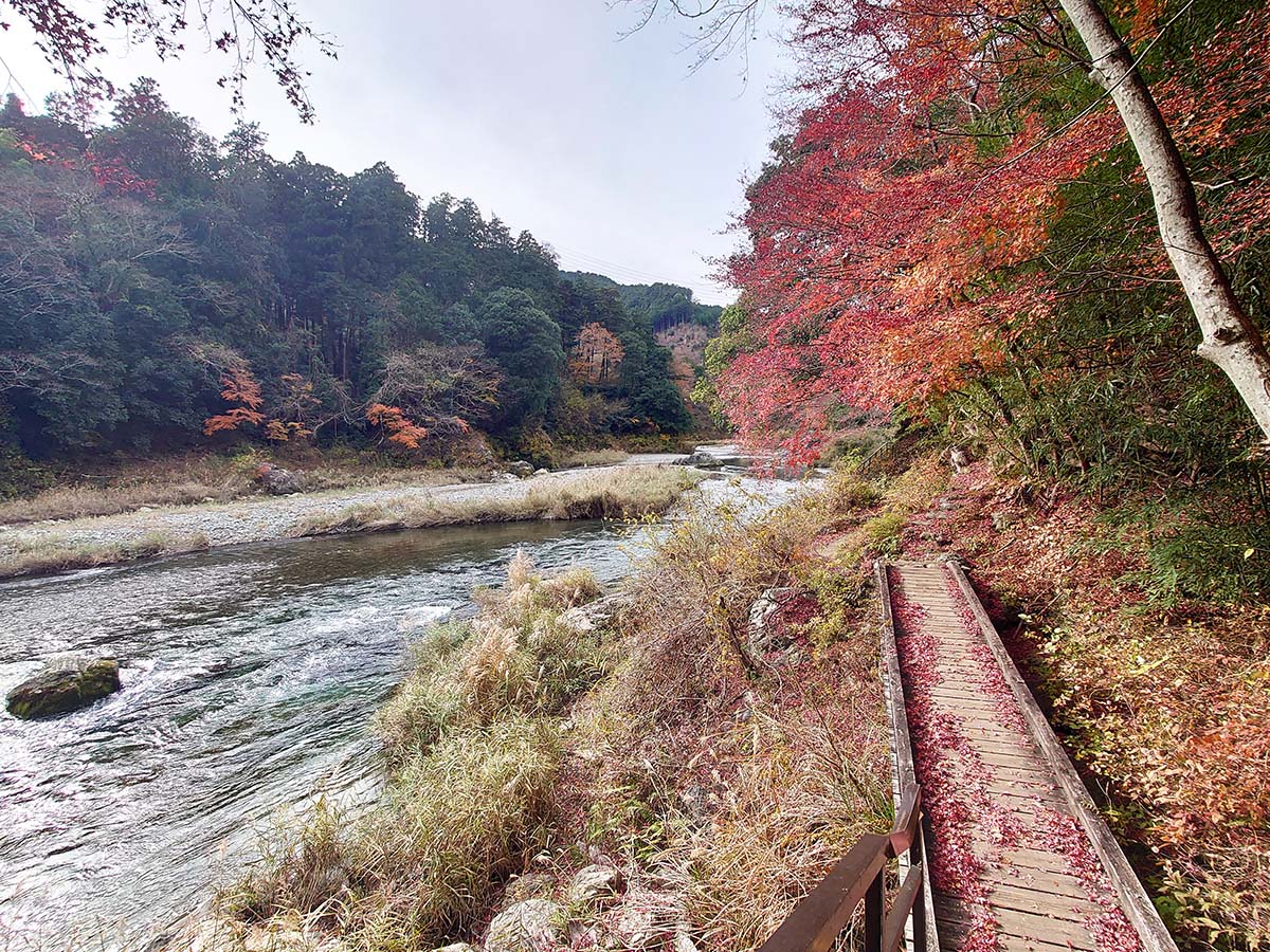道は整備されていて、景色を堪能しながら歩ける