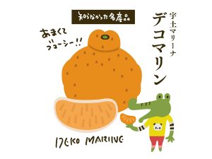 知られざる地方みやげ発見の旅！ 熊本の幻の柑橘「デコマリン」を買いに行く！