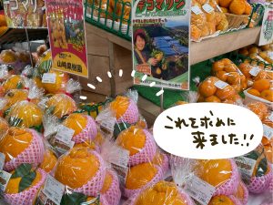宇土マリーナで販売されている「デコマリン」