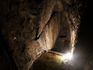洞窟は下りの方が怖いという極めて再現性の低い知見 [食楽web]